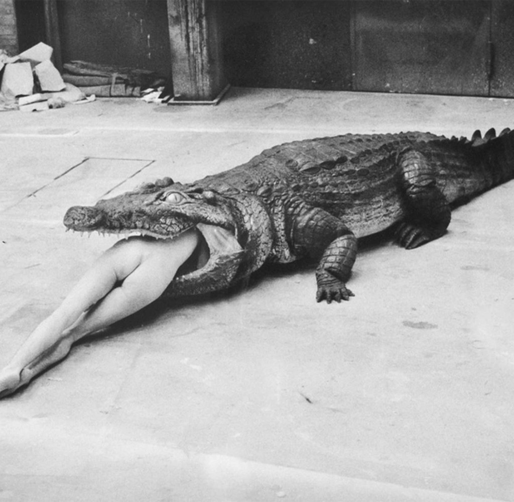 Crocodile erotic photograph by Helmut Newton in 1980