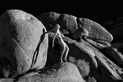 Alien Landscape - V-Nixie in Joshua Tree