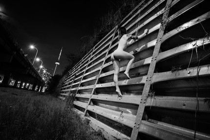 CLIMBING THE GARDINER