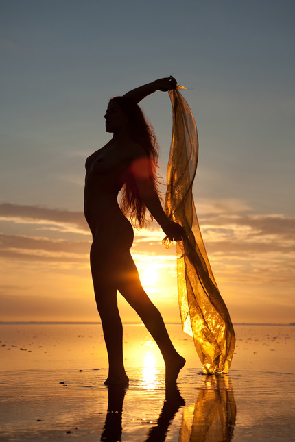 Sunset on the waddensea silhouette