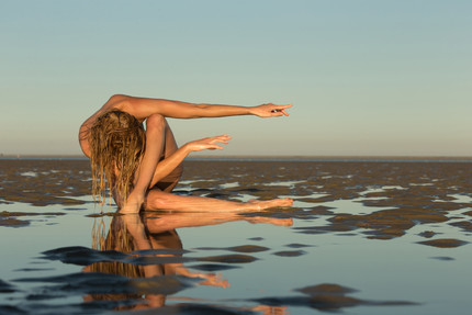 Nude on the waddensea