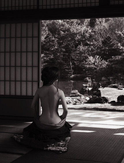 Sensual view on Zen garden