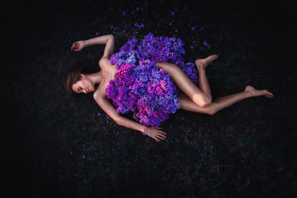 Lilac dream 1