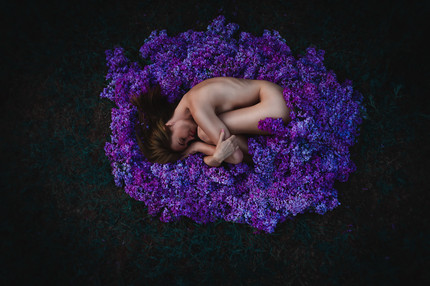 Lilac dream 3