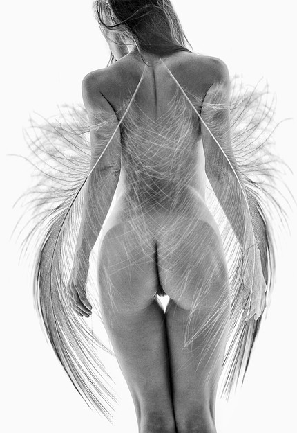 The Angel light