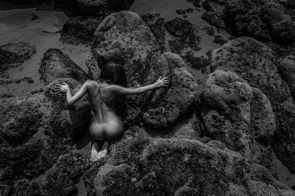 Chiara #8