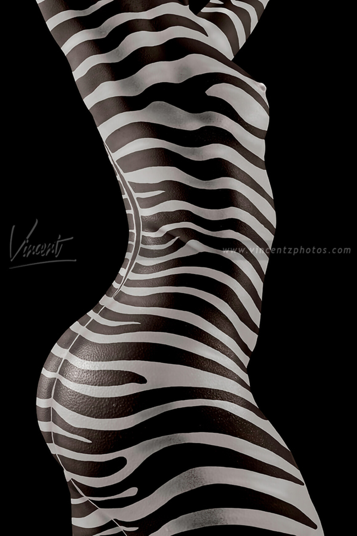 Zebra Zebra